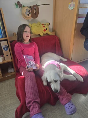 Foto des Albums: Schulhund Frieda