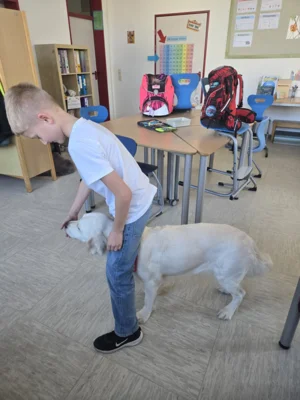 Foto des Albums: Hundepause