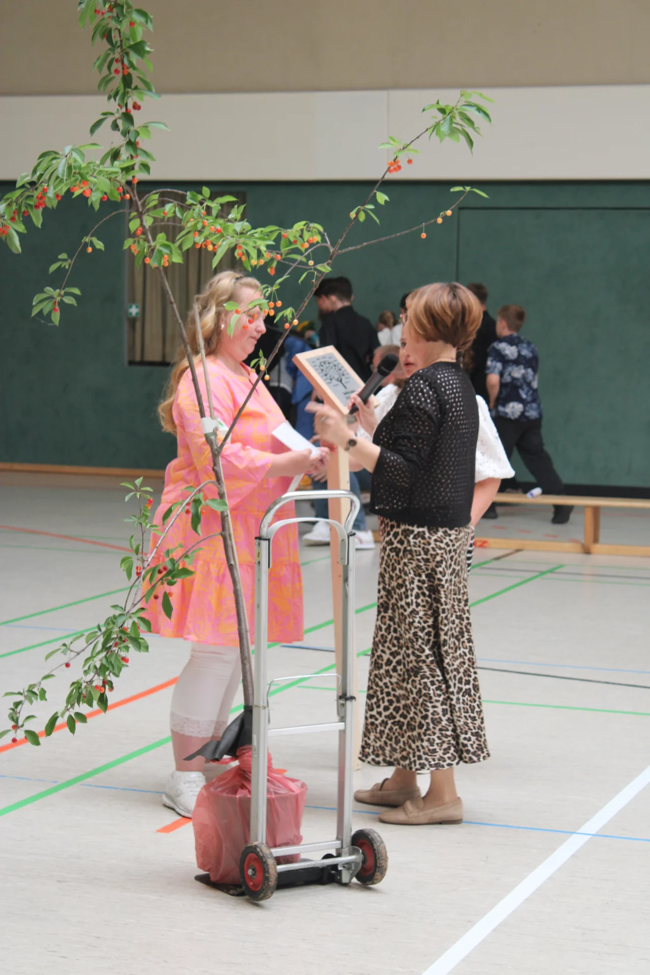 Bild der Galerie