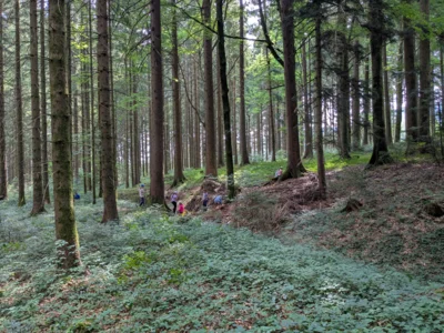 Vorschaubild der Galerie