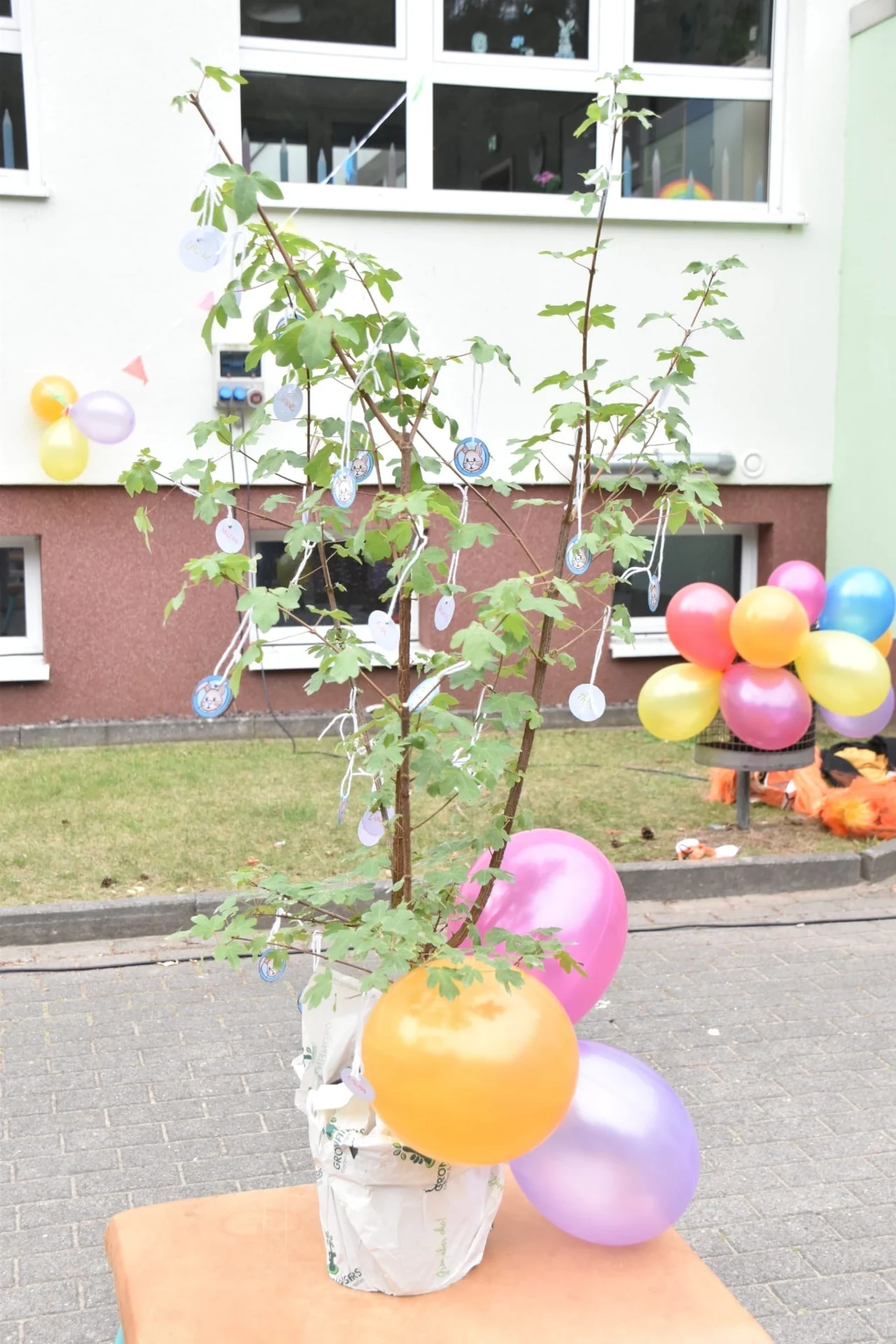 Bild der Galerie