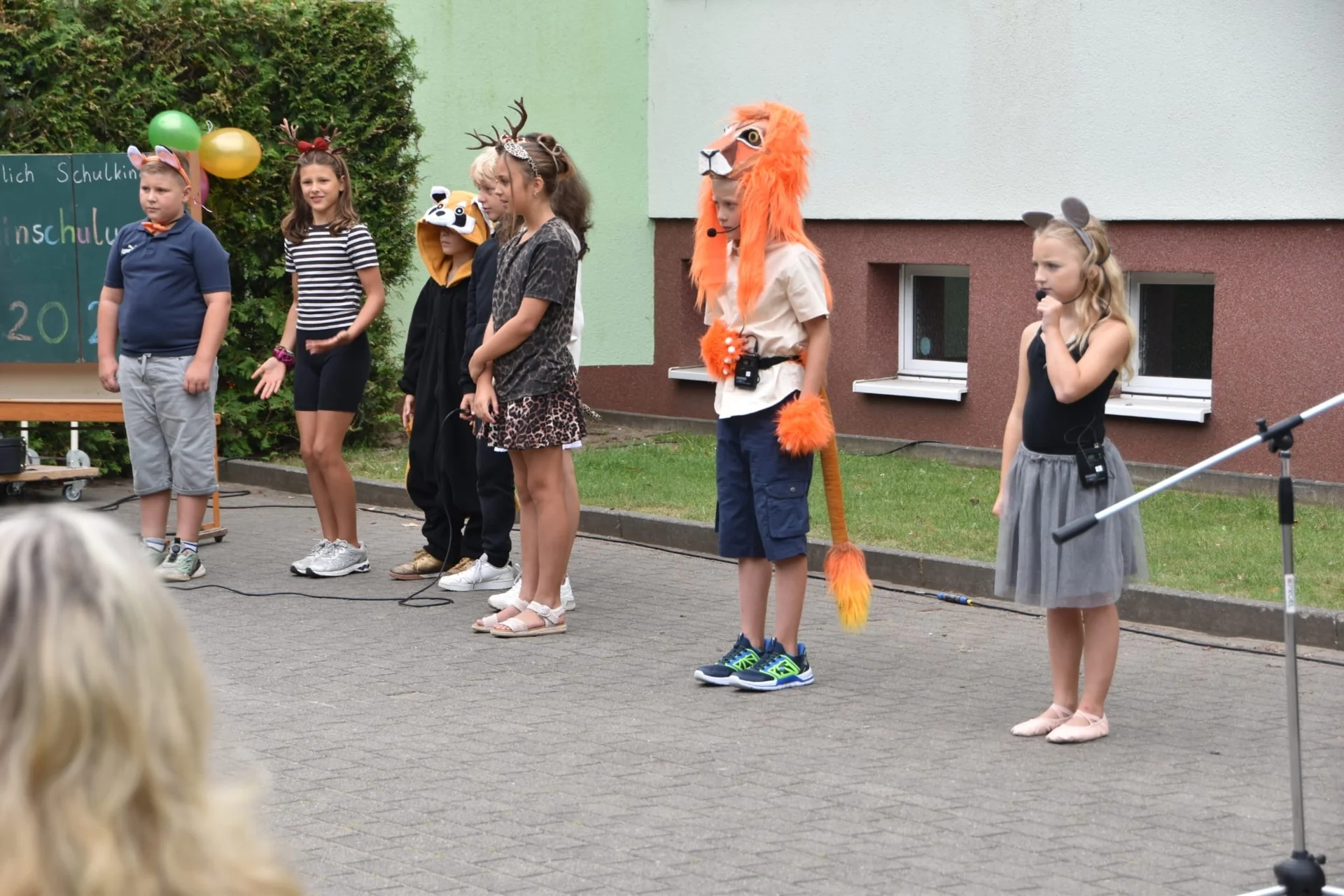 Bild der Galerie