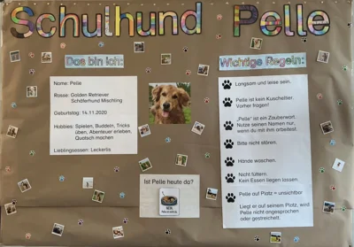Plakat f&uuml;r Schulhund  (Bild vergr&ouml;&szlig;ern)