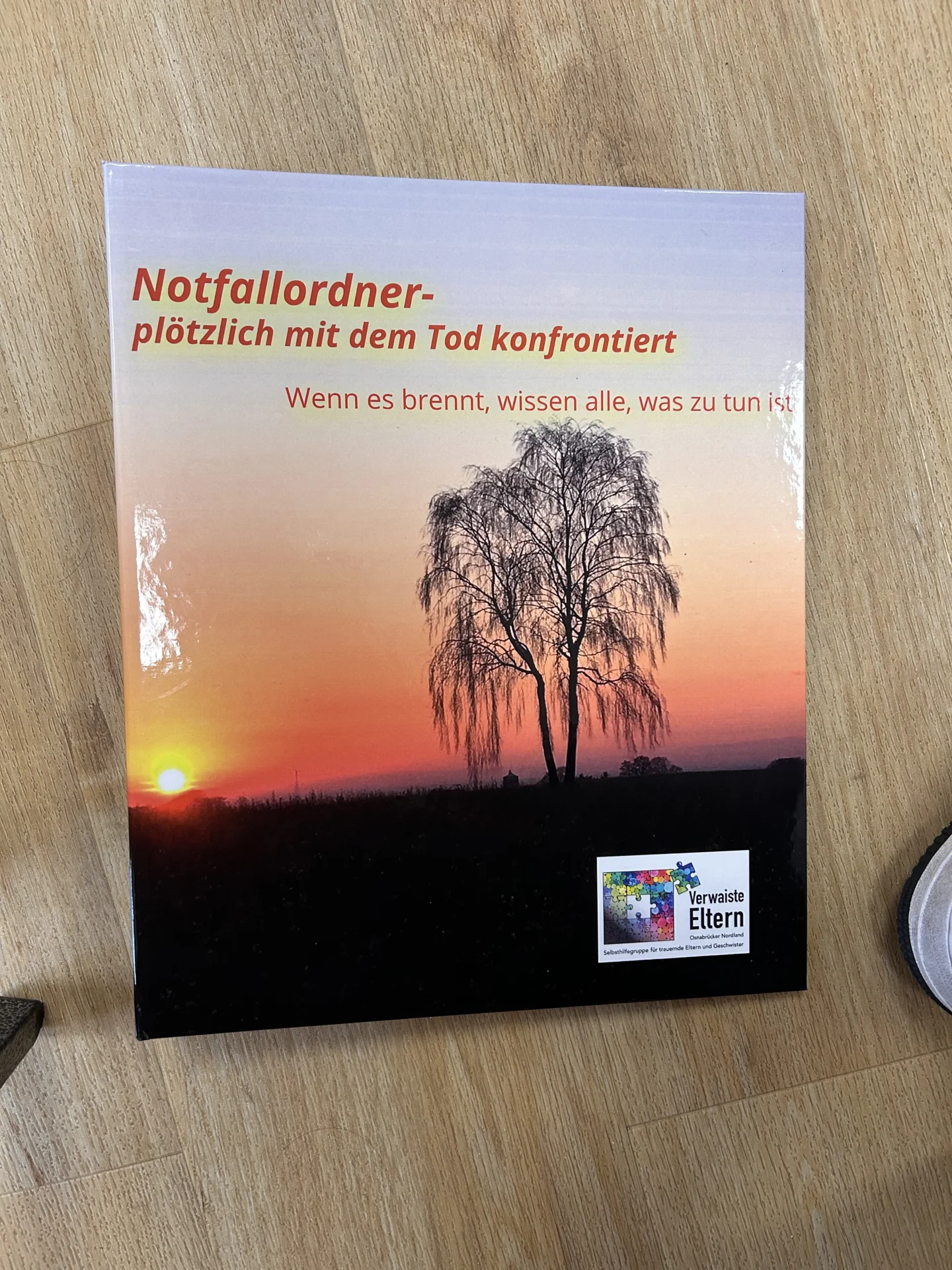 Bild der Galerie