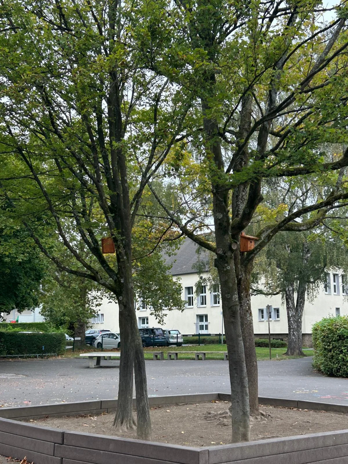 Bild der Galerie
