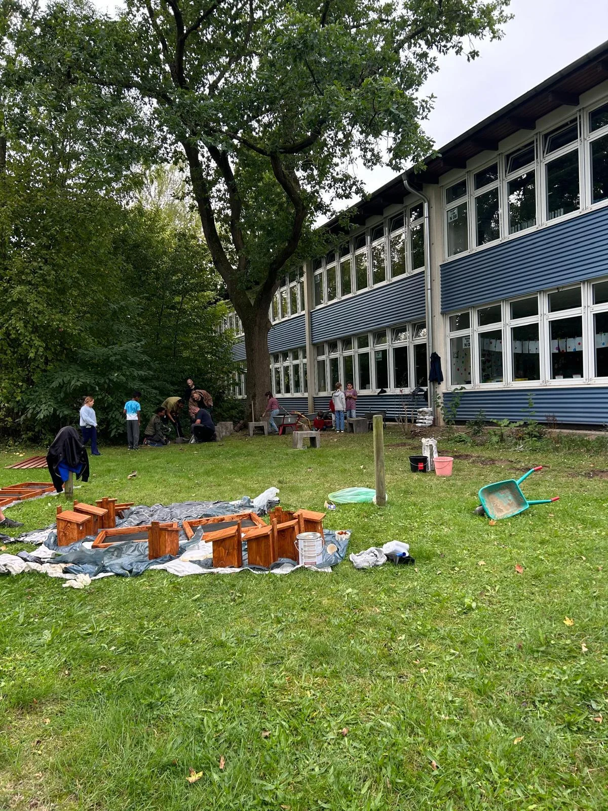 Bild der Galerie
