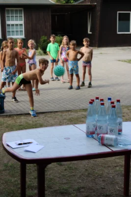 Foto des Albums: Sommer Briesen