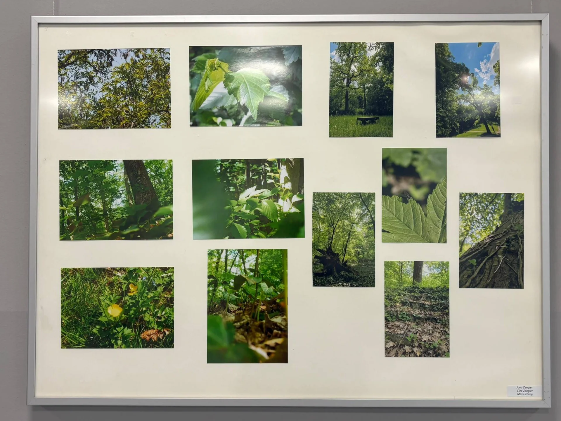 Bild der Galerie