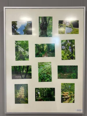 Foto des Albums: Eröffnung Fotoausstellung 2026