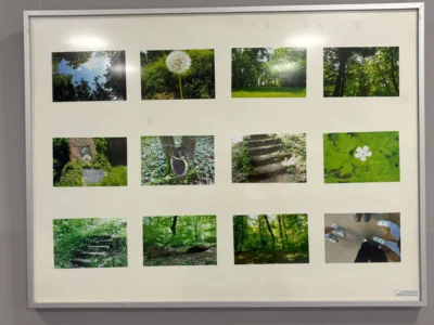 Foto des Albums: Eröffnung Fotoausstellung 2026