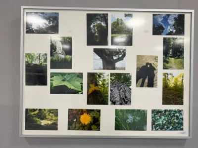 Foto des Albums: Eröffnung Fotoausstellung 2026
