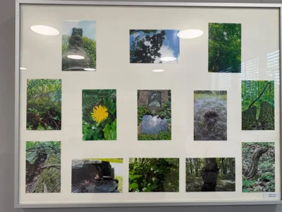 Foto des Albums: Eröffnung Fotoausstellung 2026