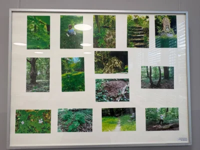 Foto des Albums: Eröffnung Fotoausstellung 2026