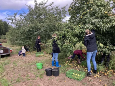 Foto des Albums: Vom Apfel zum Apfelsaft