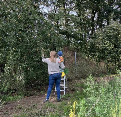 Foto des Albums: Vom Apfel zum Apfelsaft