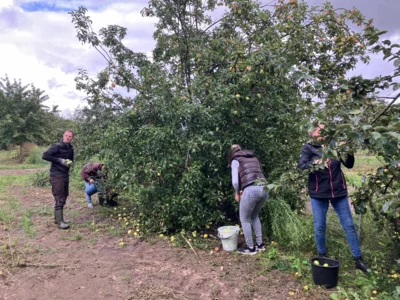 Foto des Albums: Vom Apfel zum Apfelsaft