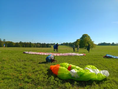 Foto des Albums: Fliegen und Grillen