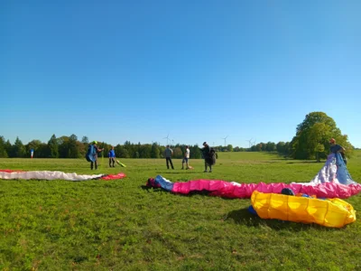 Foto des Albums: Fliegen und Grillen