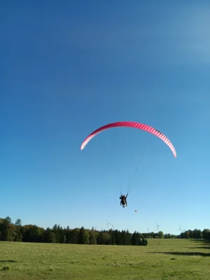 Foto des Albums: Fliegen und Grillen