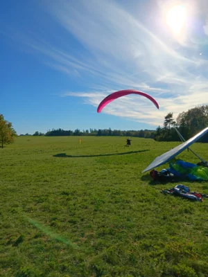 Foto des Albums: Fliegen und Grillen