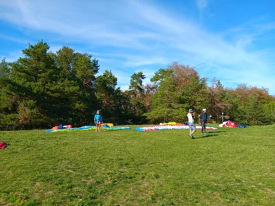 Foto des Albums: Fliegen und Grillen
