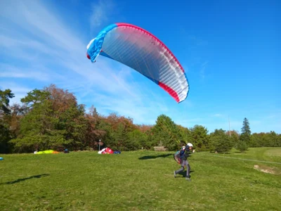 Foto des Albums: Fliegen und Grillen