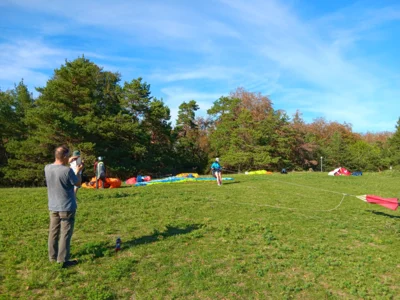 Foto des Albums: Fliegen und Grillen