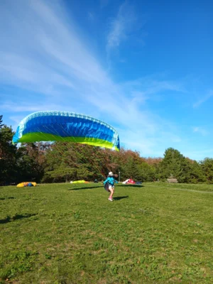 Foto des Albums: Fliegen und Grillen