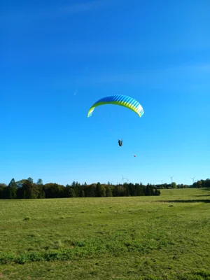 Foto des Albums: Fliegen und Grillen
