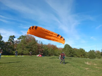 Foto des Albums: Fliegen und Grillen