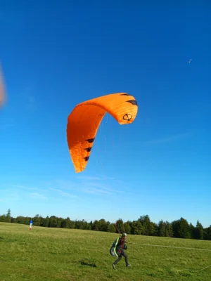 Foto des Albums: Fliegen und Grillen