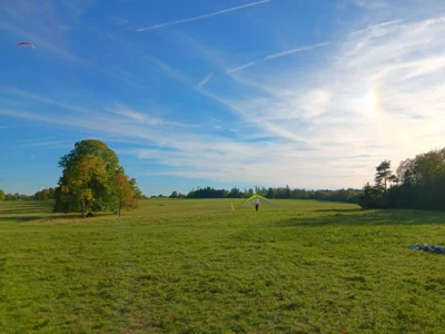 Foto des Albums: Fliegen und Grillen