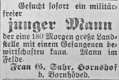 Junger Mann f&uuml;r den Hornshof gesucht, SKTB 26 10 1916 