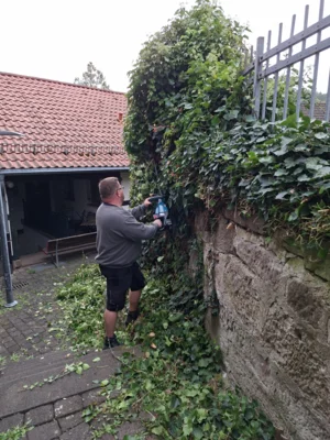 Foto des Albums: Freiwilligentag HEF-ROF 2026