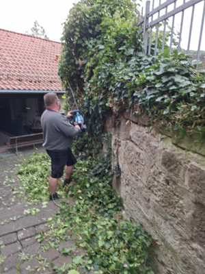 Foto des Albums: Freiwilligentag HEF-ROF 2026