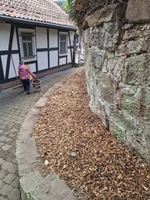 Foto des Albums: Freiwilligentag HEF-ROF 2026