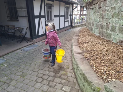 Foto des Albums: Freiwilligentag HEF-ROF 2026