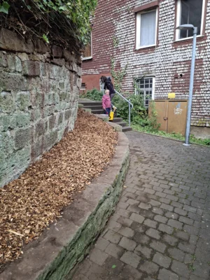 Foto des Albums: Freiwilligentag HEF-ROF 2026
