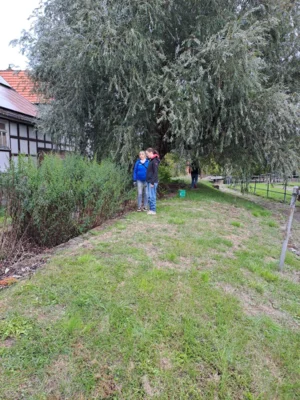 Foto des Albums: Freiwilligentag HEF-ROF 2026