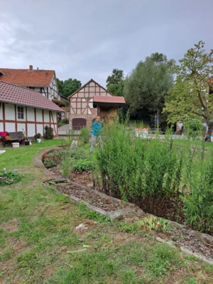 Foto des Albums: Freiwilligentag HEF-ROF 2026