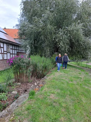 Foto des Albums: Freiwilligentag HEF-ROF 2026
