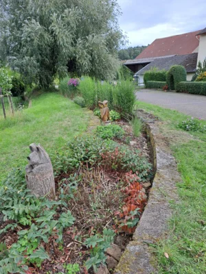 Foto des Albums: Freiwilligentag HEF-ROF 2026