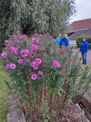 Foto des Albums: Freiwilligentag HEF-ROF 2026