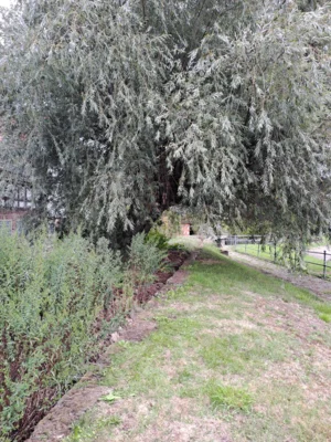 Foto des Albums: Freiwilligentag HEF-ROF 2026