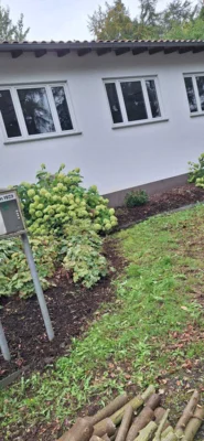 Foto des Albums: Freiwilligentag HEF-ROF 2026