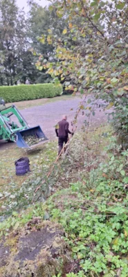 Foto des Albums: Freiwilligentag HEF-ROF 2026