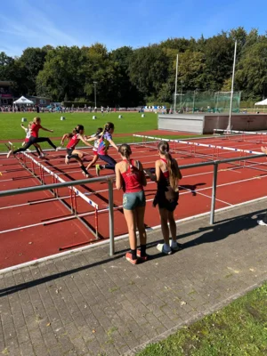 Foto des Albums: Fest der 1000 Zwerge 2026