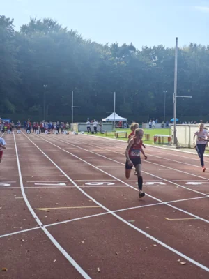 Foto des Albums: Fest der 1000 Zwerge 2026 (15.​10.​2026)