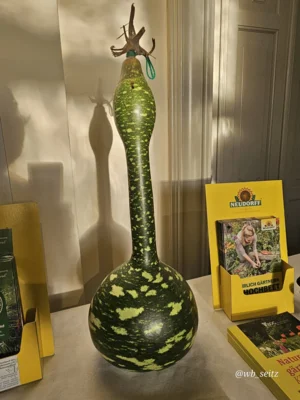 Foto des Albums: Obstausstellung