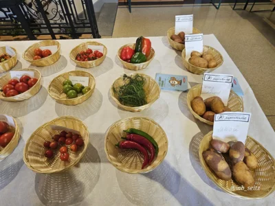 Foto des Albums: Obstausstellung